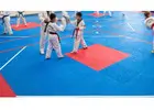 Taekwondo Mats & Equipment | Gravolite