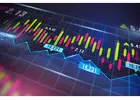 Discover Market Research Options with a 15-Day Free Trial