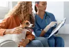 #1 Veterinary After-Hours Answering Service & Triage