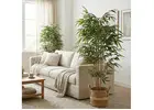 Fake Bamboo for Green Interior Displays