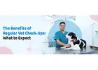 Importance of Regular Pet Health Checkups and Preventive Care