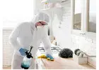 Keep Your Property Protected With Swindon Pest Control