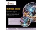 Black Magic Removal in New Jersey | Best Astrologer in New Jersey