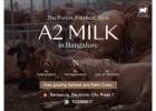 Buy Pure organic A2 milk  in Electronic city Bangalore