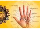 Palm Reading Specialist in Florida