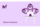 Software Development Company in Noida