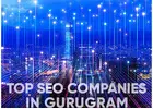 SEO Services Gurgaon | 88gravity