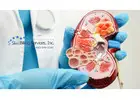 Get Top Urology Billing Services Online in