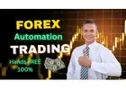 Money-Making Machines: The Rise of Forex Automation