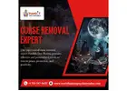 Curse Removal Expert in New Jersey