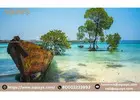 Stay At The Best Budget Hotel In Neil Island – Visit Aquays Now!