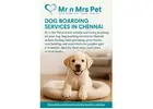 Dog Boarding Services in