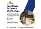 Farm House for Sales in Chikkballapur