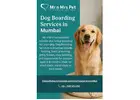 Dog Boarding Services in