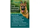 Dog Training Service in