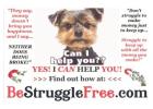 Free To Sign Up...Join When You Get All The Facts!