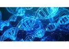 Join Smart Math Tutoring’s AP Biology Classes