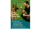 Dog Trainer Near Me