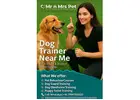 Experienced Dog Trainer Near Me