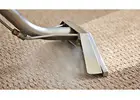 Find licensed cleanup crews for Carpet Cleaning Melbourne