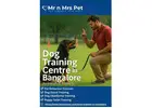 Dog Training Centre in