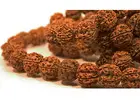 Experience Spiritual Awakening with a Rudraksha Mala