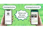 WhatsApp Business vs WhatsApp Business API: What Should You Use?
