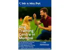Dog Training Centre in