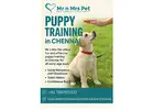 Puppy Training in Chennai