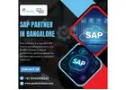 SAP Partner in Bangalore | SAP Consulting in India