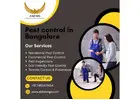 pest control in Bangalore